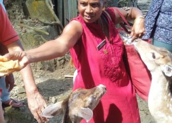 होय…. ‘ती’ हरणांशी आणि मोरांशी बोलते!