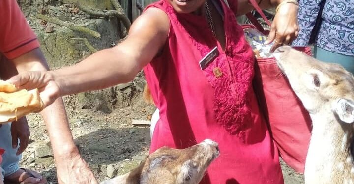 होय…. ‘ती’ हरणांशी आणि मोरांशी बोलते!