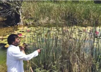 अफाट!! 70 एकरात त्याने लावली 5 कोटी झाडे…