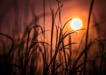 पॉझिटीव्ह मॉर्निंग..