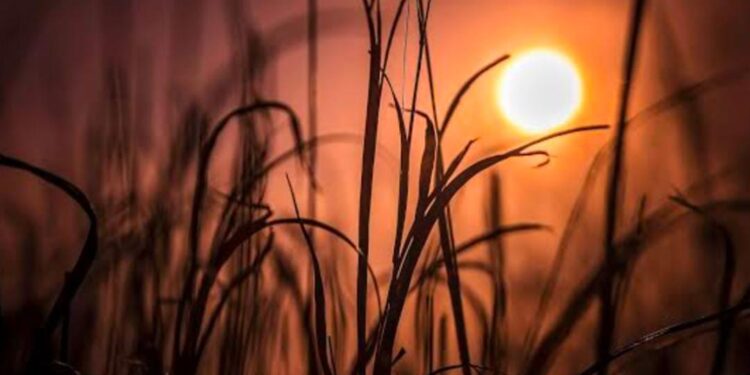 पॉझिटीव्ह मॉर्निंग..