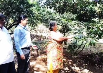 ओसाड माळरानावर तिने फुलवली सुंदर बाग !