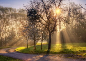 पाॅझिटिव्ह माॅर्निंग…!