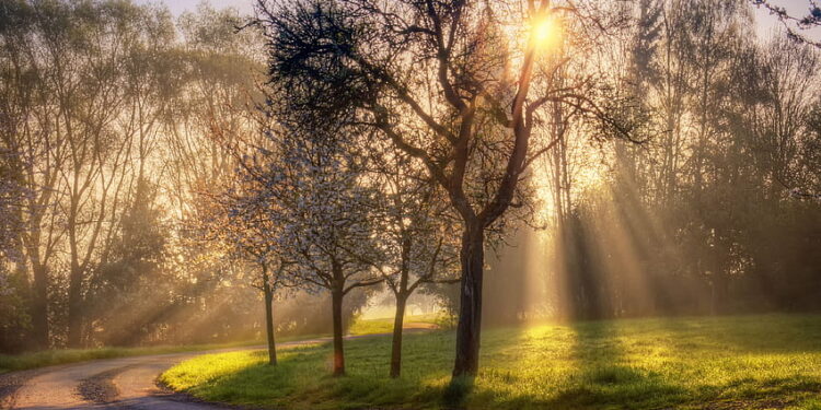 पाॅझिटिव्ह माॅर्निंग…!