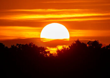 पाॅझिटिव्ह माॅर्निंग…. !