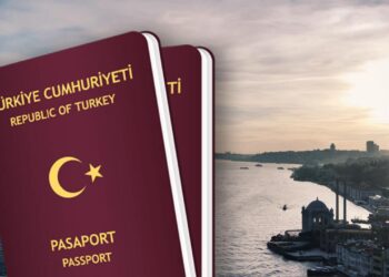 देशभक्त भारतीयांचा आता तुर्कस्तानवर ‘ट्रेड स्ट्राईक’