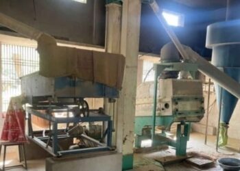 सोलर जीवना’ मुळे ग्रामीण जीवन झाले सुखमय