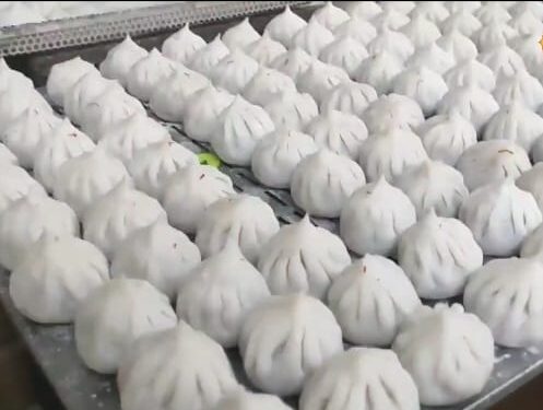 मेढी मोदक कंपनीत दिवसाला तयार होतात ५० हजार मोदक