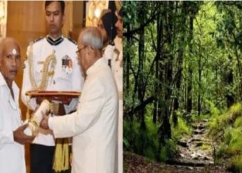 ट्री मॅन ऑफ इंडिया; दरिपल्ली रामय्या